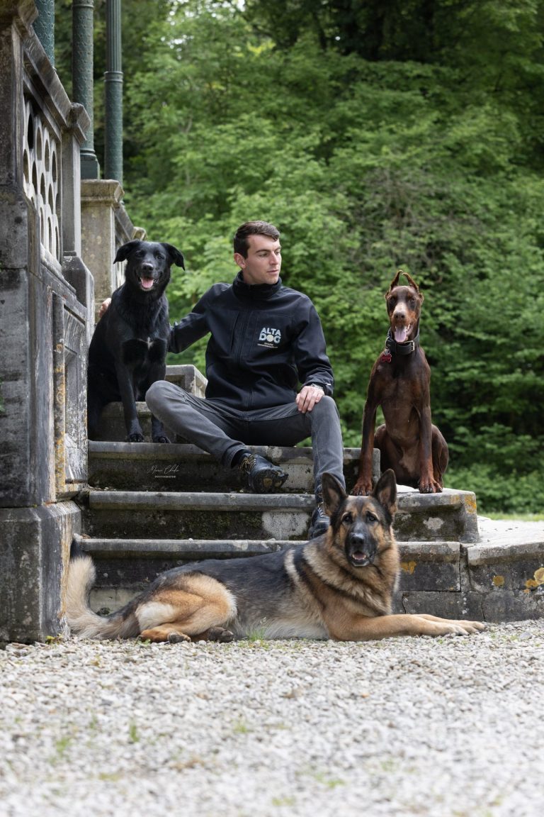 Educateur canin avec des chiens